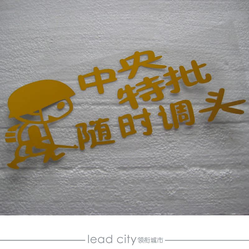 ¸öÐÔ³µÌù ÖÐÑëÌØÅú ËæÊ±µôÍ· ³¤25CM¿í10CM