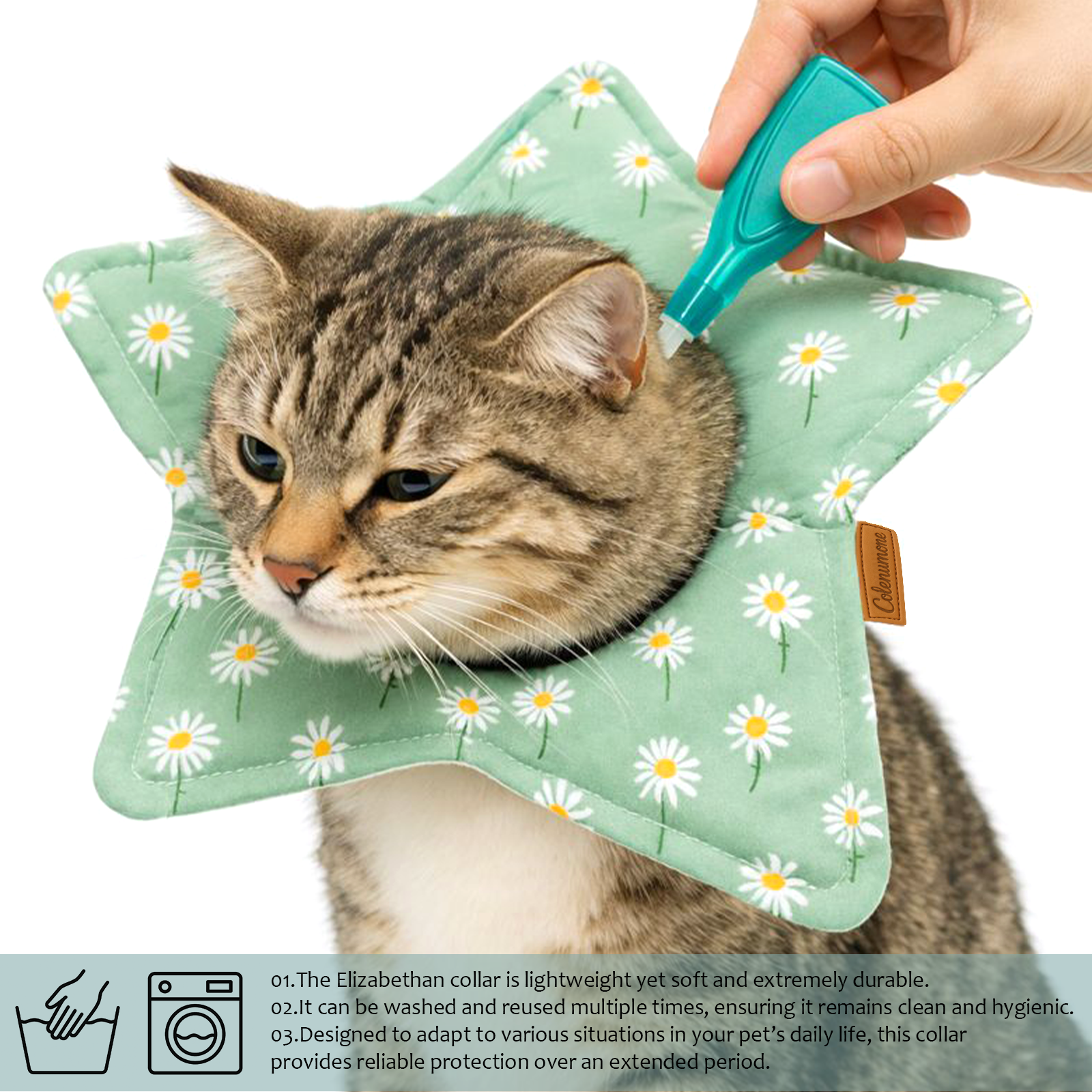 新款宠物项圈术后防舔项圈猫咪伊丽莎白圈看医生喂药围脖防咬颈圈,宠物/宠物食品及用品,宠物伊丽莎白圈,淘宝优惠券,粉丝福利购,淘宝优惠卷