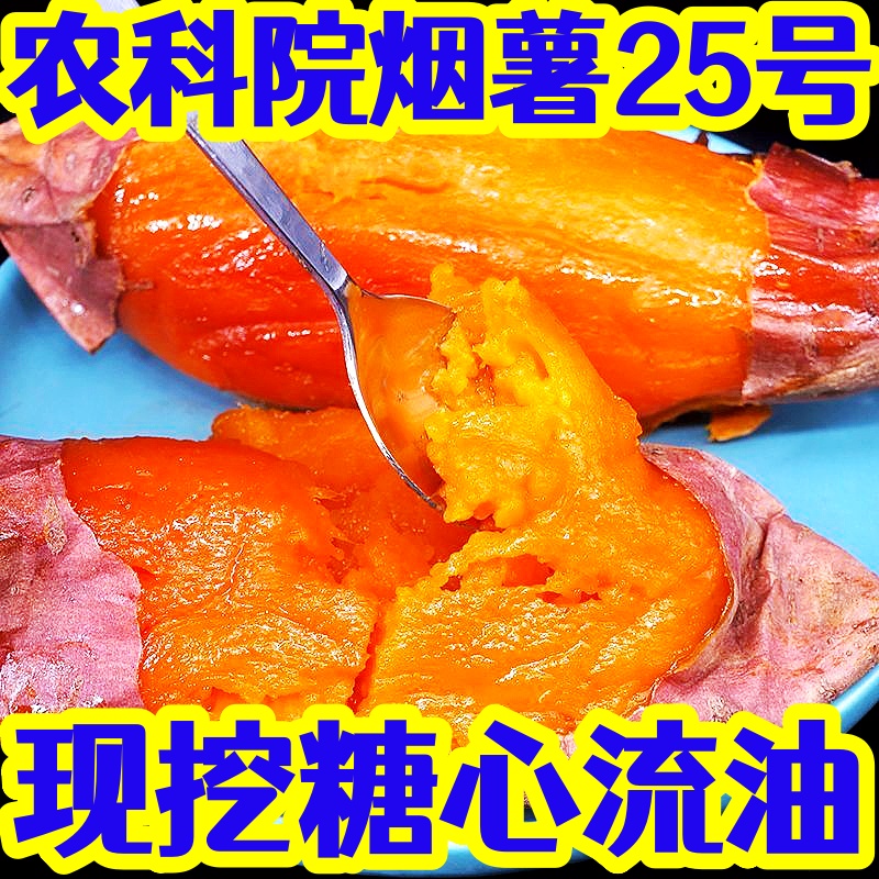 现货包邮山东农科院烟薯25号流油糖心蜜薯沙土地地瓜烤地瓜专用