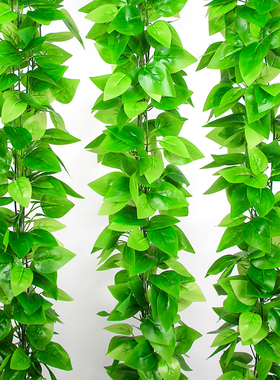 仿真藤条绿萝叶假树叶室内空调水管道装饰缠绕遮挡塑料花藤蔓绿叶