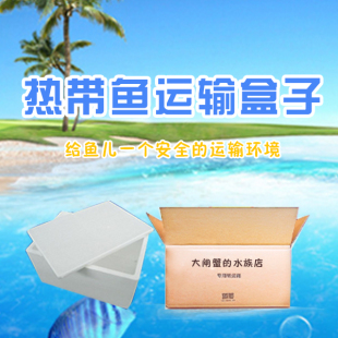 水族运输用泡沫盒子