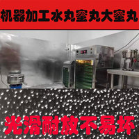 水丸加工水蜜丸大蜜丸代加工機(jī)器加工藥丸