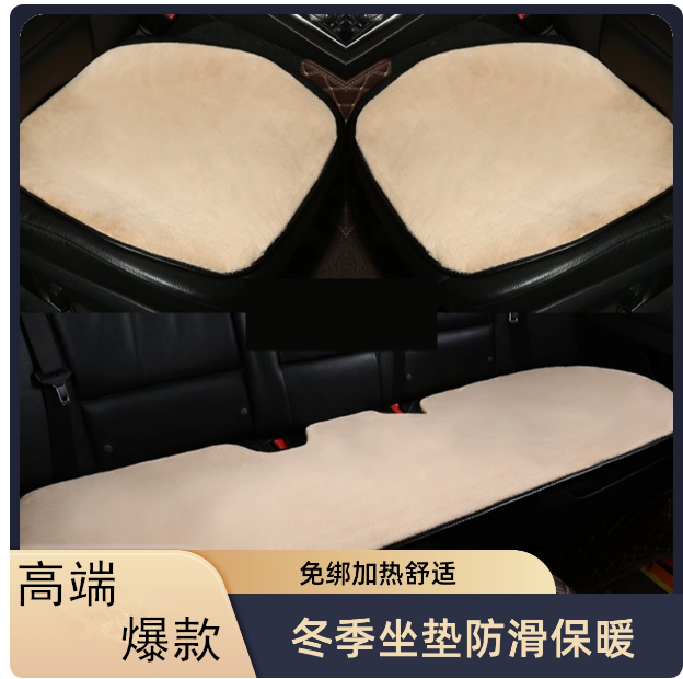 免捆绑2025高端汽车坐垫三件套冬季金貂绒保暖舒适座垫套男女通用