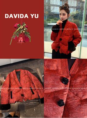 【冰糖葫芦】V领鹅绒服外套汉服氛围感年服2025037J