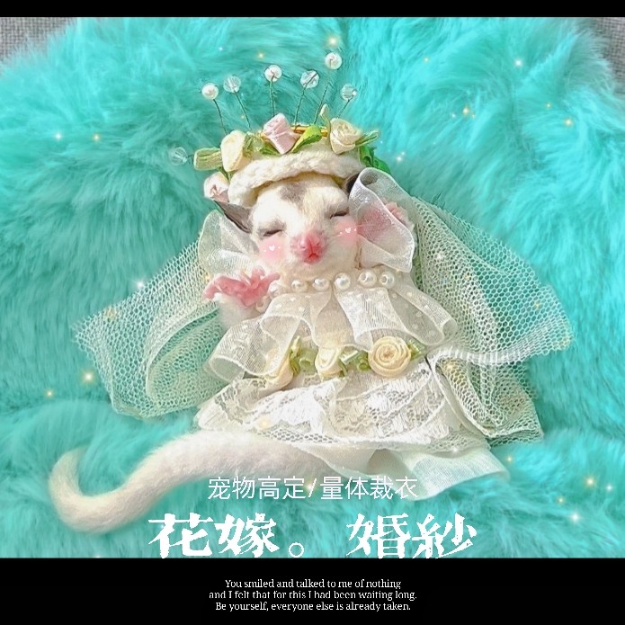 黑黑酱定制蜜袋鼯手工小衣服用品仓鼠花枝鼠松鼠金丝熊飞鼠服装