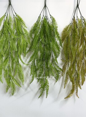 仿真波斯蕨类绿植壁挂垂吊藤条绿色植物吊兰墙壁管道吊顶门头装饰