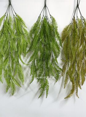 仿真绿植波斯草垂吊蕨类绿植植物