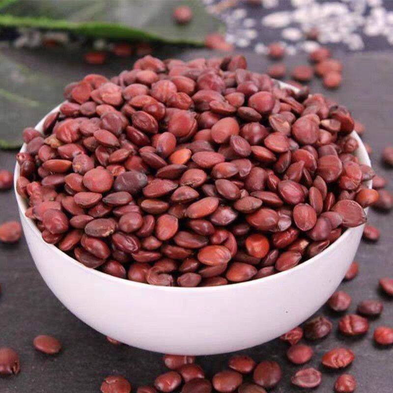 精选正宗野生酸枣仁正品中药材睡眠茶失眠养生安神茶炒熟酸枣仁