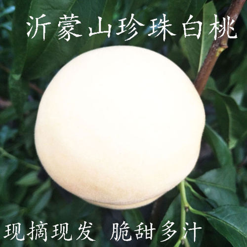 新鲜现摘多汁香甜白桃满口香