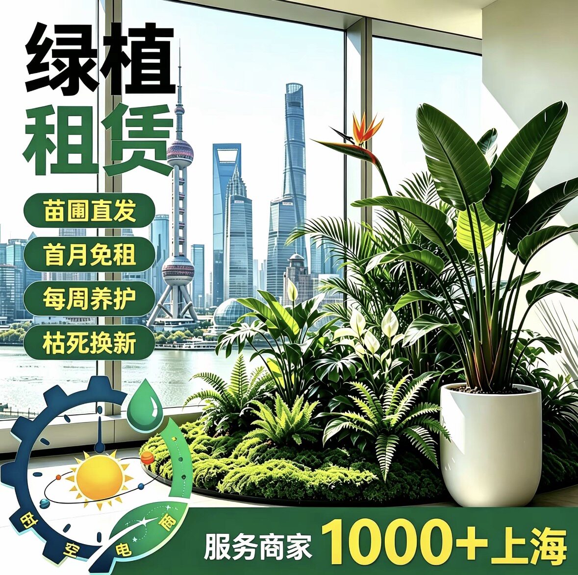 上海植物租赁 办公室花卉租摆 大型绿植/成品组合盆