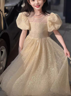 女童连衣裙香槟色童装秋款儿童宝宝小女孩公主生日主持礼服纱裙子