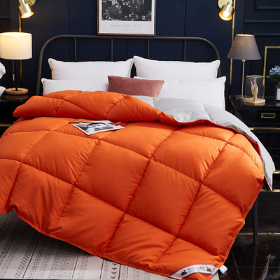 goose down duvet warm thicken winter quilt blanket comforter