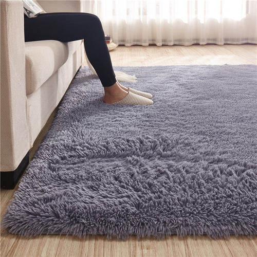 WINTERCARPETLIVINGROOM地毯
