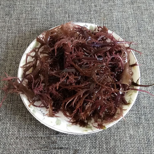 紫晶冰藻价格 紫晶冰藻图片 星期三
