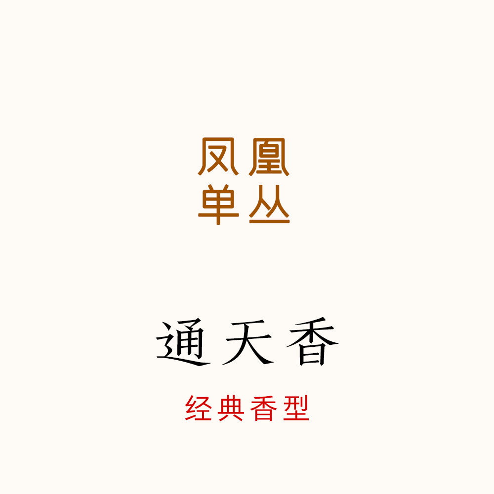 唐茶坊凤凰单丛通天香