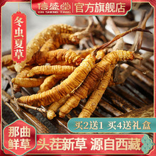 西藏那曲正品冬虫夏草5~6根/克正宗虫草干货1g散礼盒装天然新鲜