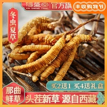 西藏那曲正品冬虫夏草5~6根/克正宗虫草干货1g散礼盒装天然新鲜