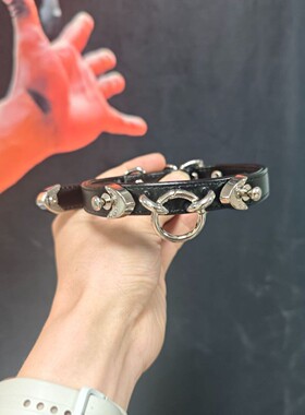 Aura Collar轻奢真皮choker项圈牵引绳项圈圆环颈环puppy脖圈颈带