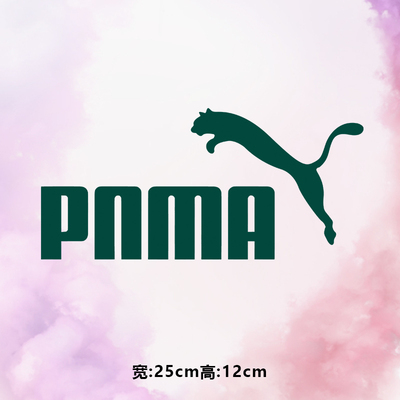 潮牌时尚pnma飞豹白墨现货加厚印花图案衣服装高弹烫画贴标热转印