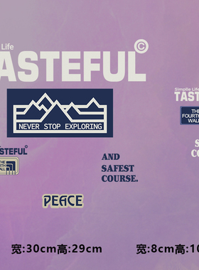 高级烫画图案新款时尚TASTEFUL烫画贴印花衣服热转印白墨烫画布贴