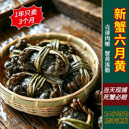 大闸蟹鲜活10只全母兴化大闸蟹礼盒特大清水河蟹公母搭配裸重活蟹