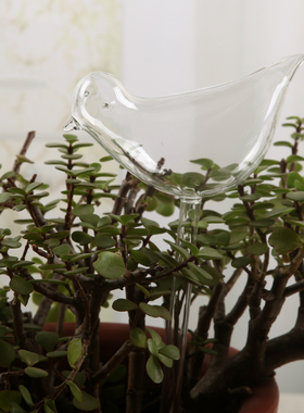 恒远玻璃小鸟懒人创意渗水滴灌家用绿植盆栽自动浇花器神器