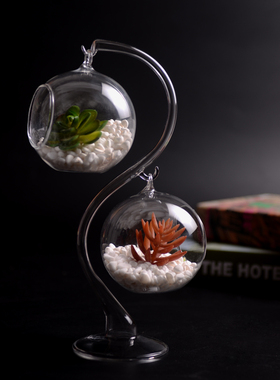 全新苔藓微景观生态瓶悬挂式平底创意水培多肉玻璃花瓶家居饰品