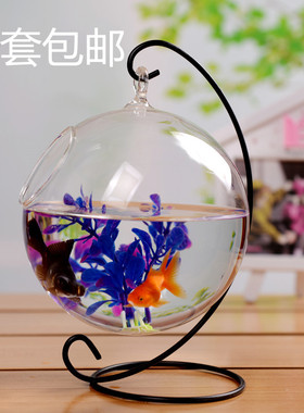 全新悬挂玻璃花瓶 苔藓瓶 多肉植物花瓶 微景观瓶 生态瓶