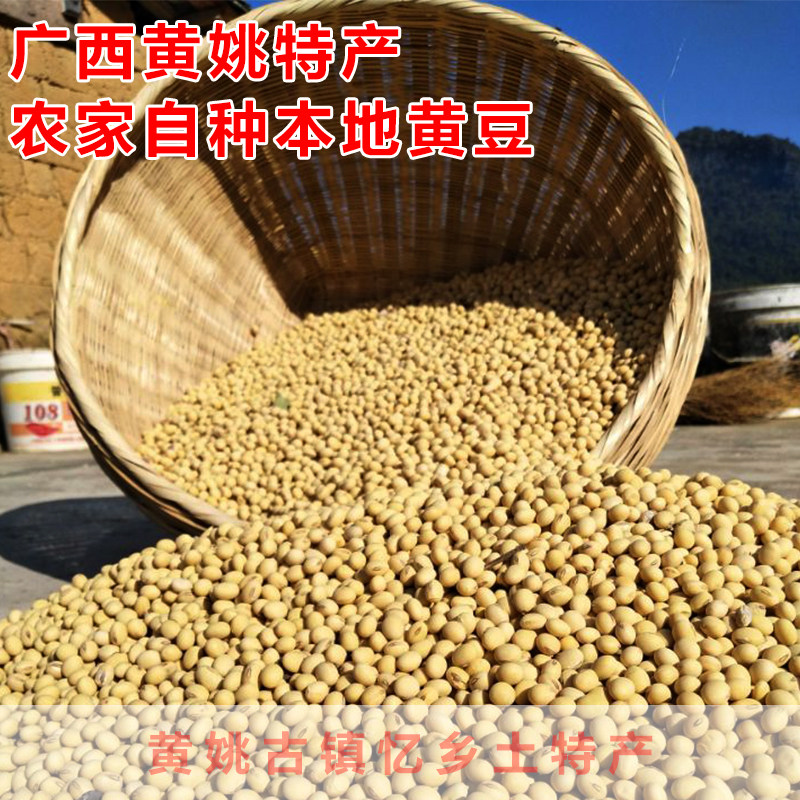 广西贺州农家黄豆自家种本地黄豆榨豆浆专用5斤