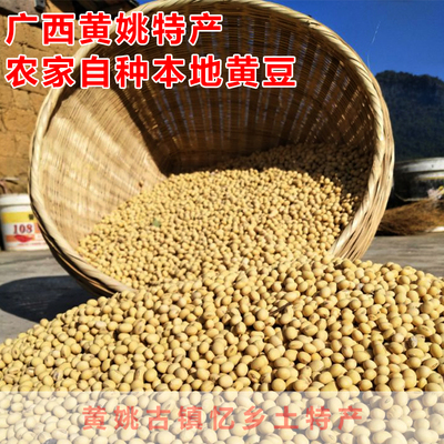 广西贺州农家黄豆自家种本地黄豆榨豆浆专用5斤
