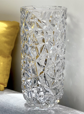 高级感轻奢花瓶摆件玻璃透明高档水养水培鲜花玫瑰百合客厅