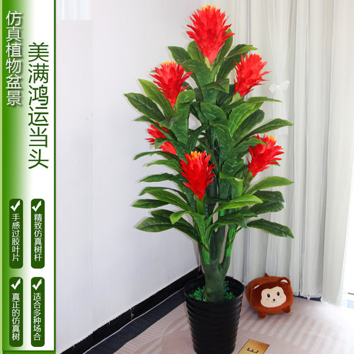 仿真植物盆景商场造景树绿色室内大型塑料客厅装饰花仿真鸿运当头