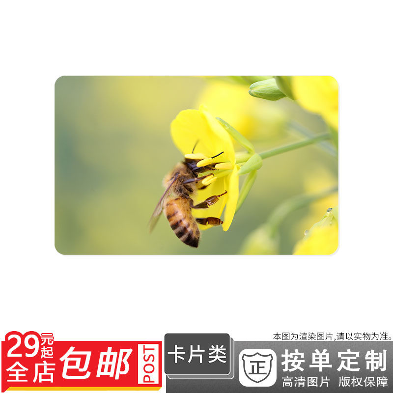 500261396 蜜蜂开始采蜜了蜜蜂采蜜蜜蜂蜂卡贴双面卡