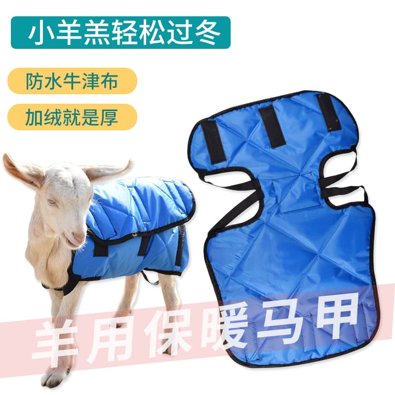 【冬季好物】小羊羔保暖马甲