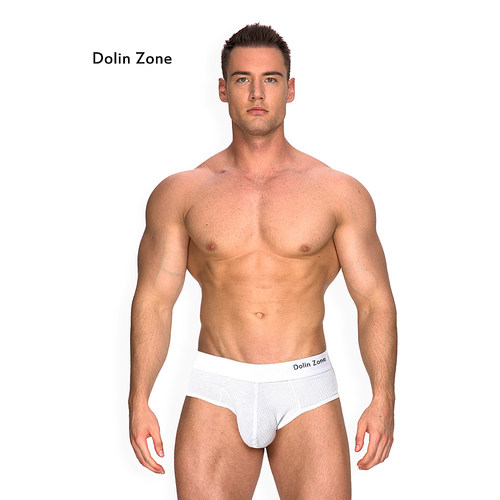 2条装男三角内裤透气柔软