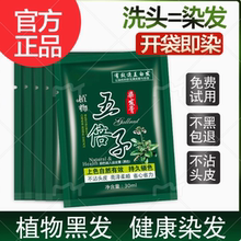 五贝子植物染发剂一洗黑纯染头膏盖白发无刺激气味自然黑色旗舰店