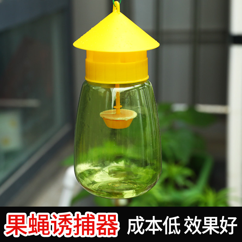 果蝇诱捕器黄板双面粘虫板诱虫蓝板蓟马大棚果树果园家用室内沾虫