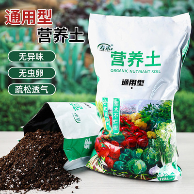 营养土盆栽种植多肉花卉育苗