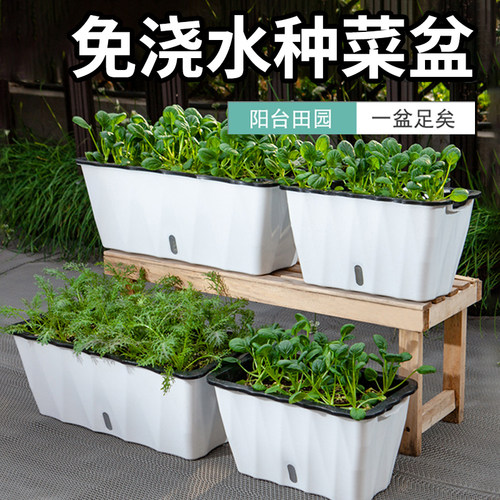 懒人自动吸水室内特大箱子种植盆
