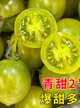 梦想青甜2号绿色樱桃小番茄苗青口蜜圣女果苗蔬菜苗秧苗孑西红柿