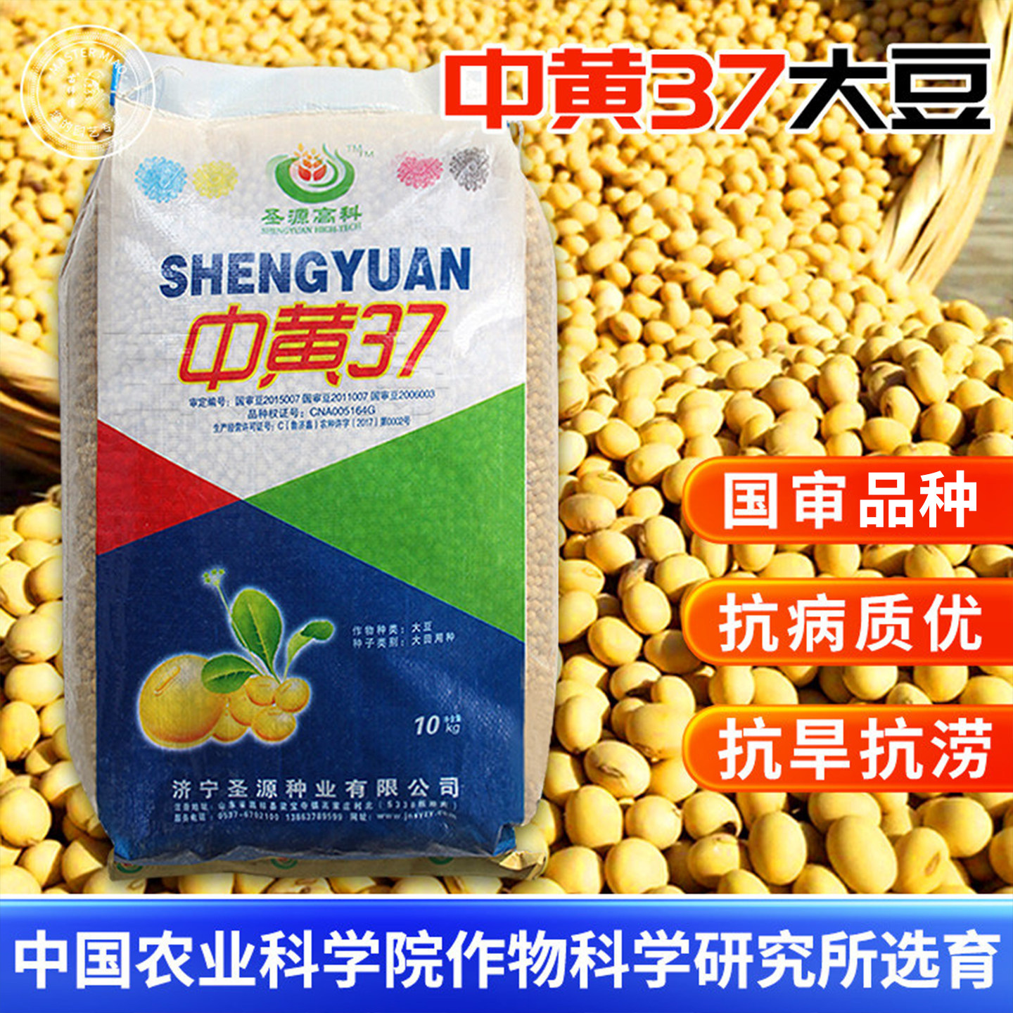 早熟豌豆基地农科院种子图片