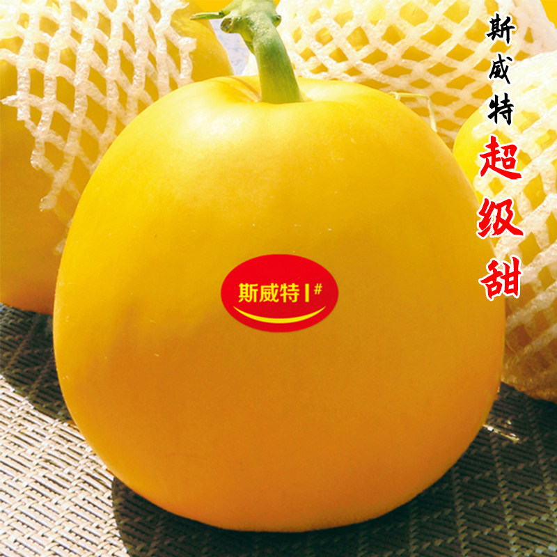 鼎牌斯威特秋甜甜瓜种子黄皮香瓜蜜瓜种籽薄皮超甜早熟瓜果孑