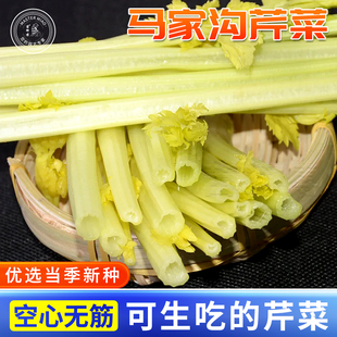 马家沟空心芹菜种孑生吃芹菜籽芹菜心苗四季盆栽籽种蔬菜菜子籽种
