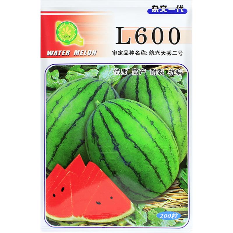 L600西瓜种子二号小礼品