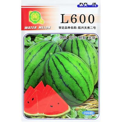 L600西瓜种子二号小礼品