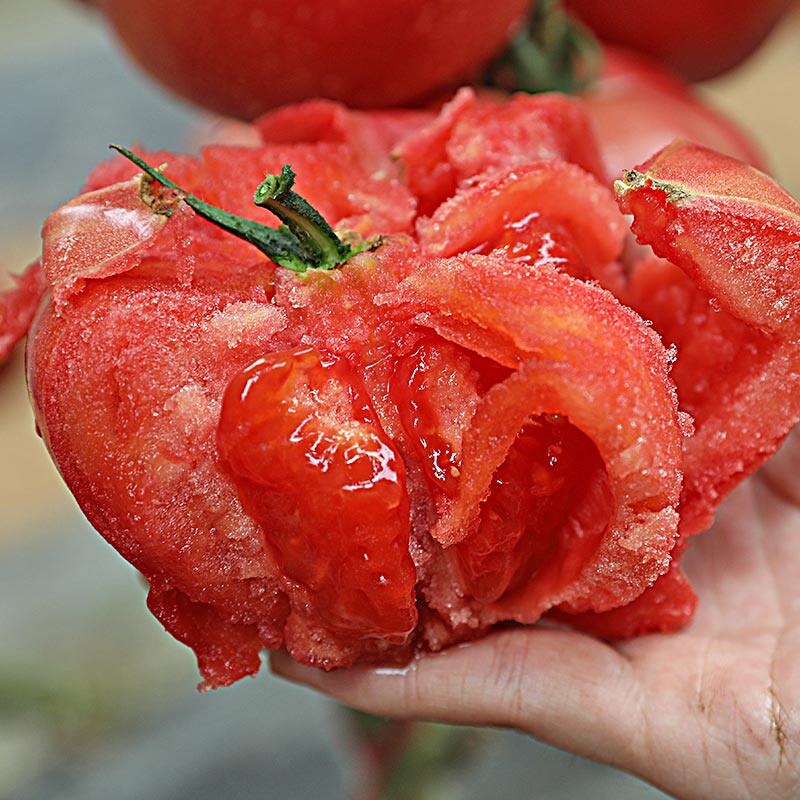 Tomato seeds Seeds Tomatoes High yield Fruit powder Spring Autumn Potted vegetables Seedling Rice seedlingin the Flower delivery/Flowers simulation/Plants gardening , Flowers/Fruits and vegetables/Lawn seed (New) , Home &amp; Garden Seeds  category - from Buy2taobao.com to provide professional Taobao agent buy service