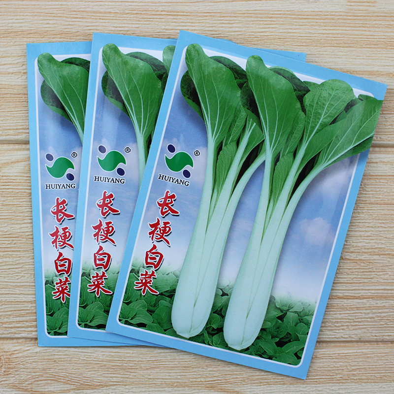 壶瓶白种花叶高杆箭杆蔬菜孑白菜