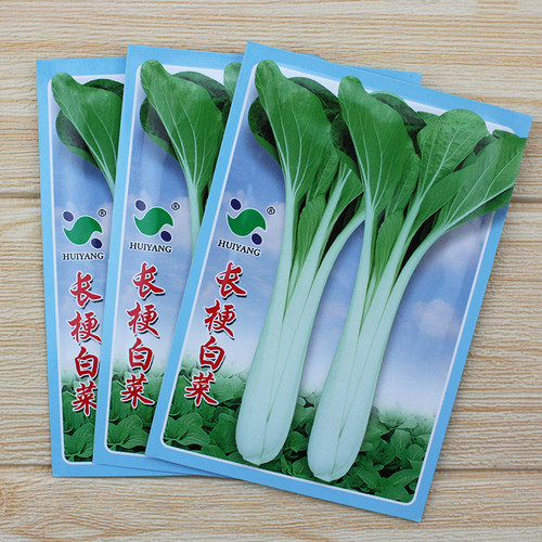 壶瓶白种花叶高杆箭杆蔬菜孑白菜