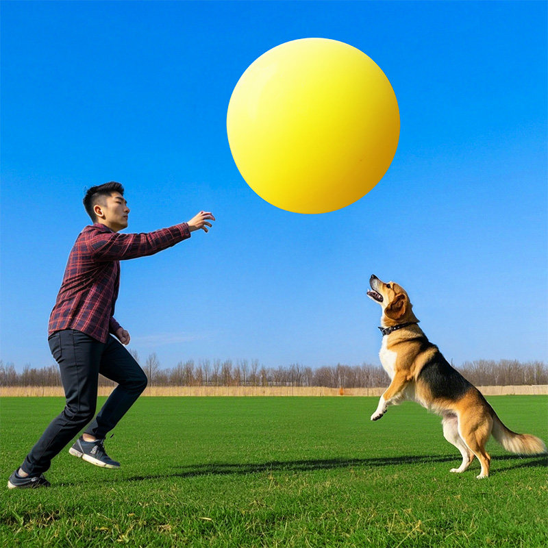 36寸户外超大号遛狗狗互动气球加厚防爆彩色宠物玩具乳胶拍照道具