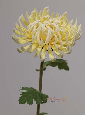 高仿真PU安娜菊复古仿真花束